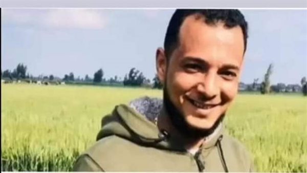 العناصر الإجرامية