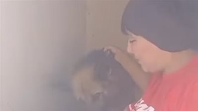 اصطحبت كلبها على سجادة الصلاة.. بلاغ يتهم سيدة بازدراء الأديان | فيديو