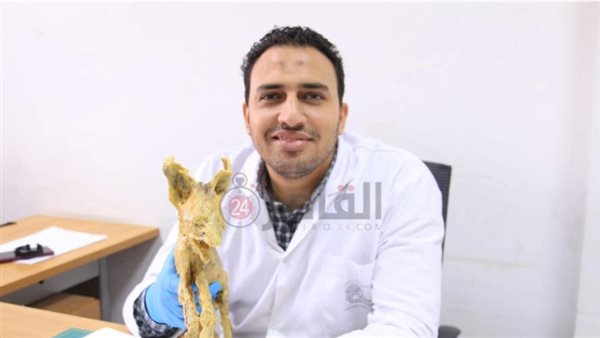  مدير مخزن المومياوات