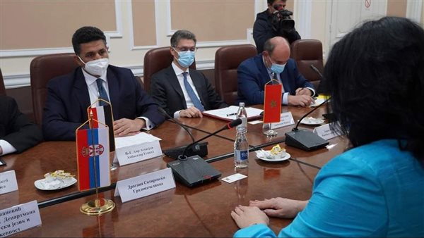 السفير المصري في