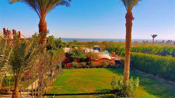 محافظة الفيوم