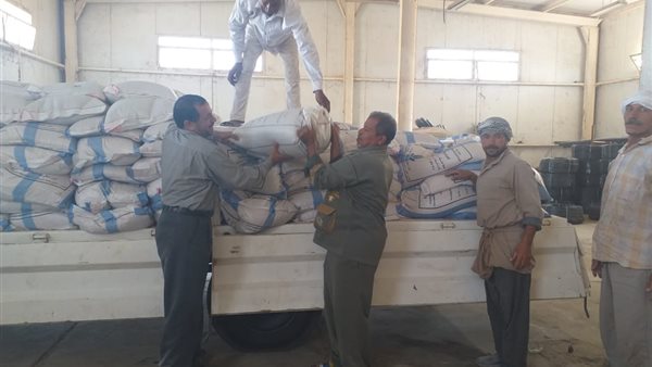 توزيع تقاوي مجانًا