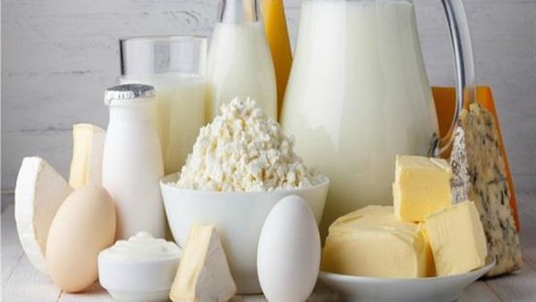 منتجات الالبان