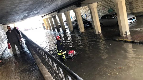 شوارع الإسكندرية