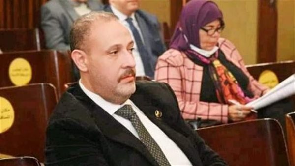 النائب إيهاب العمدة