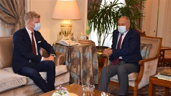 أبو الغيط والمبعوث