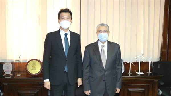 وزير الكهرباء والسفير