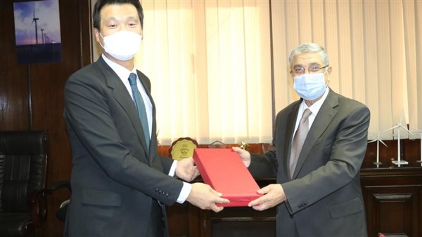 وزير الكهرباء والسفير