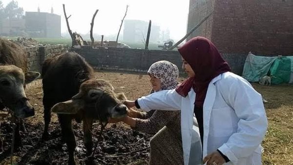 صورة تعبيرية - حملة