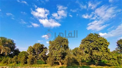 انخفاض الحرارة وشديد البرودة ليلًا.. حالة الطقس بالفيوم اليوم 