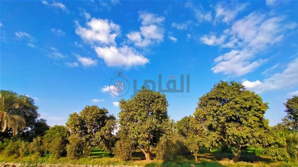 محافظة الفيوم