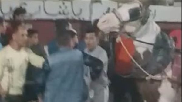 جانب من المشاجرة