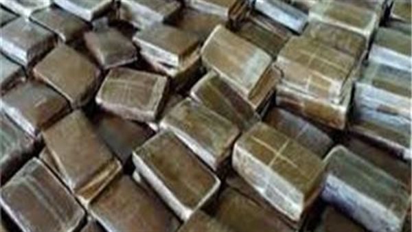 مخدر الحشيش 