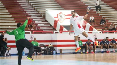 تعرف على الفرق المشاركة في الموسم الجديد بدوري المحترفين لكرة اليد