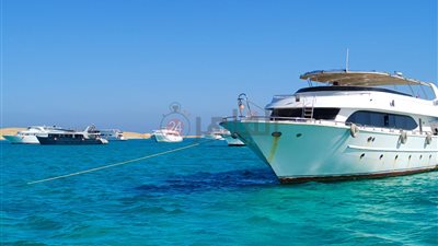 استقرار فى حالة الطقس ونشاط ملحوظ فى الرحلات البحرية بالغردقة |صور وفيديو