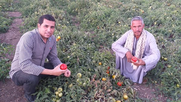 القاهرة 24 من داخل