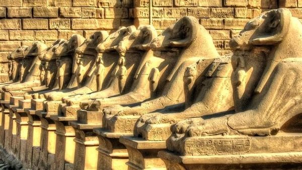 طريق الكباش - صورة