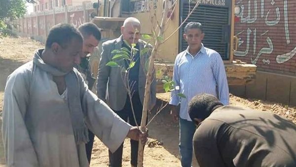زراعة أشجار بشوارع