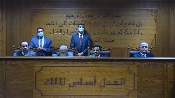 المستشار محمد حماد