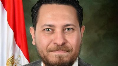 برلماني: مصر درة الأمن والأمان.. ولا أحد يجرؤ على الاقتراب منها