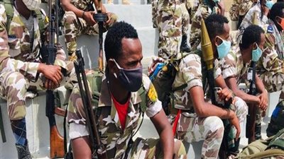 بث مباشر| قوات تحرير تيجراي تقترب من دخول العاصمة الإثيوبية وحسم المعركة