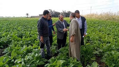 جولة لوكيل زراعة بورسعيد لمتابعة أحوال الزراعات الشتوية جنوب المحافظة