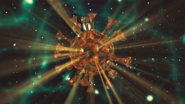 السلالة الجديدة 