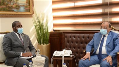 وزير التنمية المحلية يلتقي وفدا كاميرونيا لبحث سبل تعزيز التعاون المشترك بين البلدين