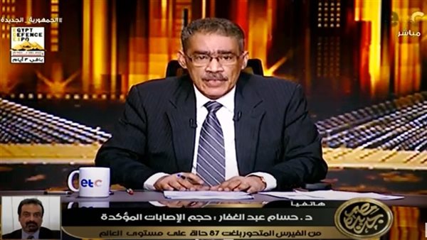 ضياء رشوان خلال تقديمه