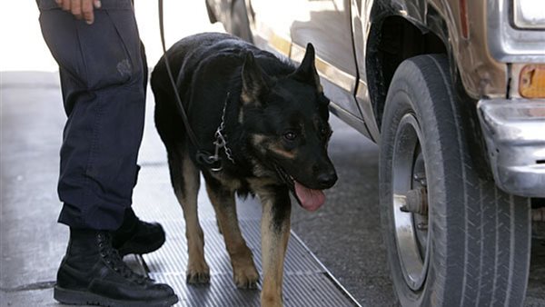 ضبط مخدرات - أرشيفية