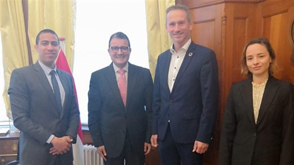 السفير المصري في