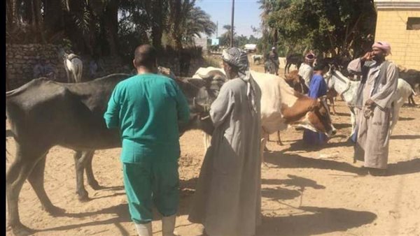 القافلة الطبية البيطرية