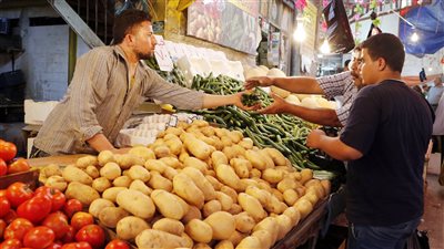 بث مباشر| الطماطم بـ 4 جنيهات والفراخ البلدي بـ 28.. أسعار الخضراوات والدواجن اليوم بالأسواق 