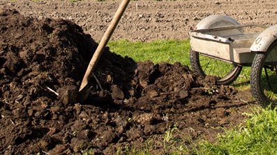 نقيب الفلاحين: سعر طن السماد عالميا 14 ألف جنيه.. وهدفنا التوسع في الرقعة الزراعية 