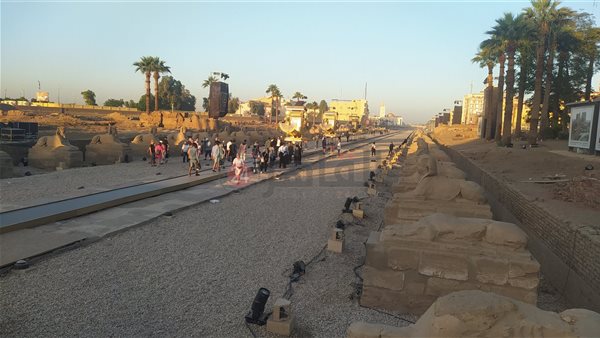 طريق الكباش