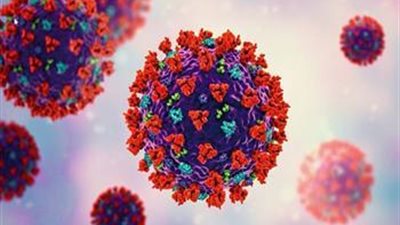 أستاذ فيروسات: هناك تخوف من خروج المتغير الجديد أوميكرون عن السيطرة