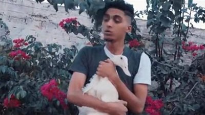 أغنية شيماء تتصدر تريند تويتر.. بطة تتحول لحديث المصريين بالسوشيال ميديا