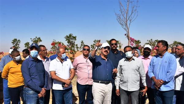 محافظ أسوان