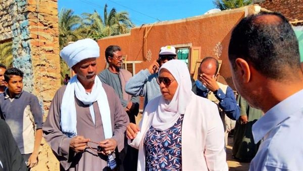 نائبة محافظ أسوان