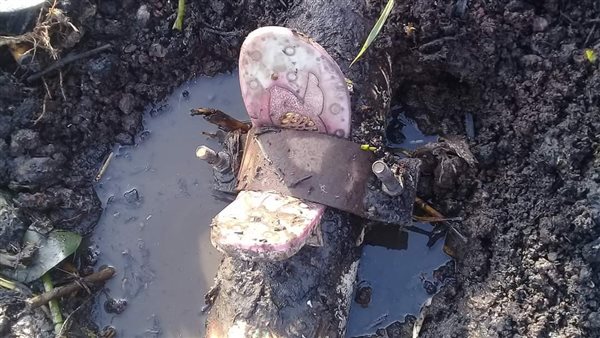  إصلاح ماسورة مياه