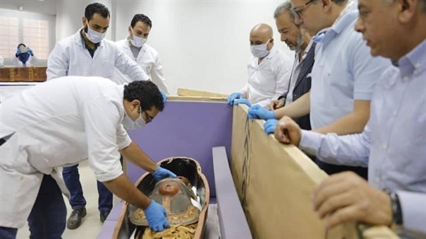 استقبال الآثار بالمتحف