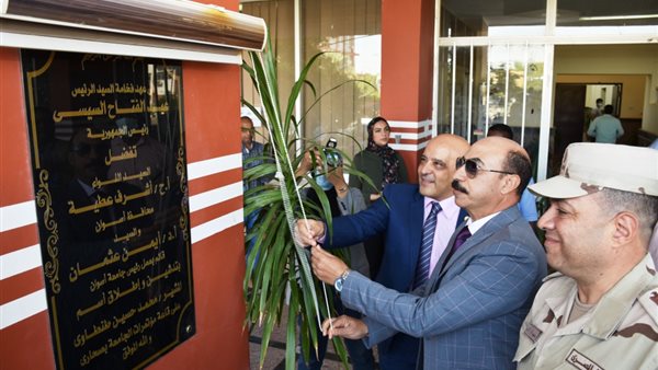 محافظ أسوان