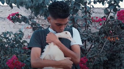 بعد تصدرها الترند.. كيف تحولت البطة شيماء لحديث المصريين بالسوشيال ميديا؟ | فيديو جراف