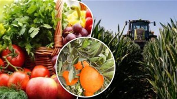 زراعة المحاصيل