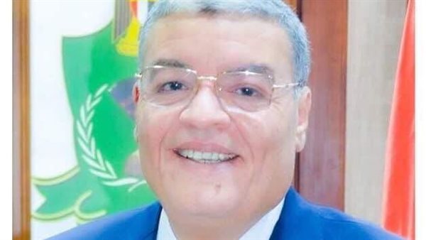 محافظ المنيا