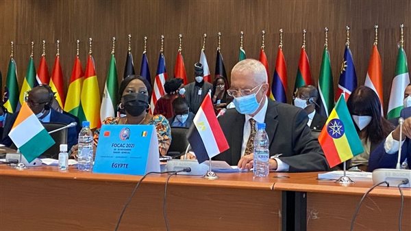 مشاركة مصر الاجتماع