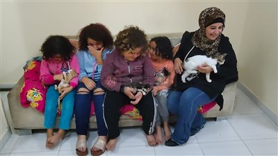 ملاك الرحمة.. إيمان تجمع القطط الضالة والمصابة بالغردقة وتستأجر مسكن لإطعامهم ورعايتهم | صور وفيديو