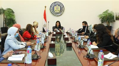 مصر تراجع محفظة التعاون الإنمائي مع صندوق الأمم المتحدة للسكان