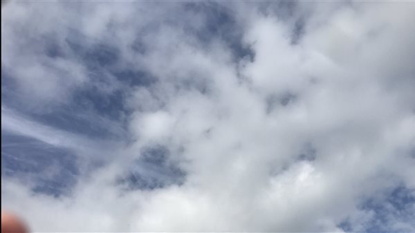 سماء كفر الشيح محملة