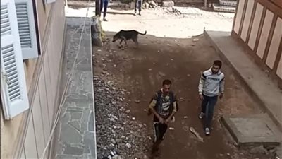 ضبط شاب هدد سيدة وسبّها بألفاظ خادشة للحياء بكفر الشيخ 